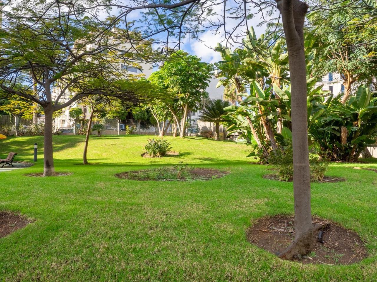 Apartment Abora Garden With Terrace, Pool, Extensive Gardens And Free Parking ลาสปัลมาส เด กรานคานาเรีย ภายนอก รูปภาพ
